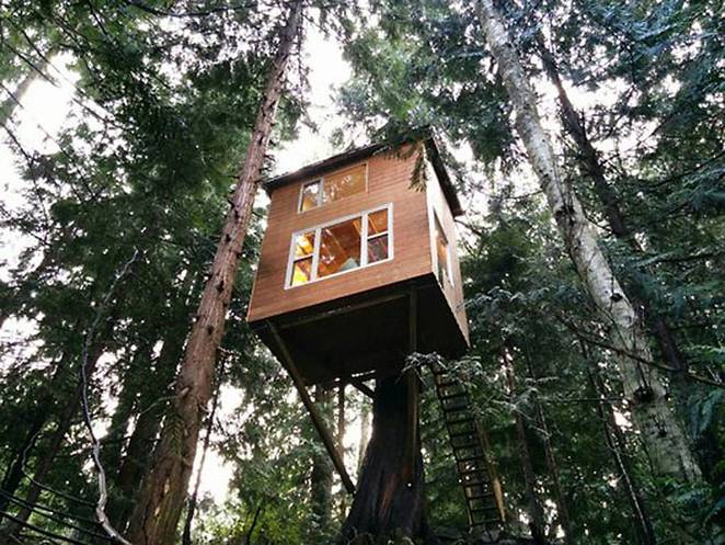 Домик на дереве с лестницей: один из вариантов экономичного жилья