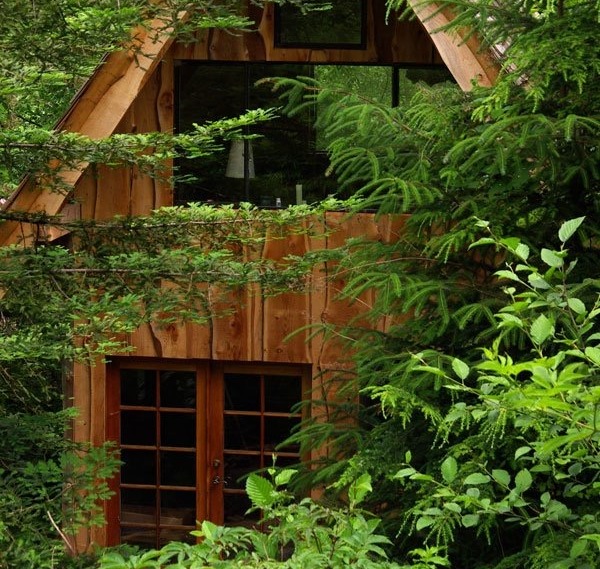 Маленький лесной домик (фото), США