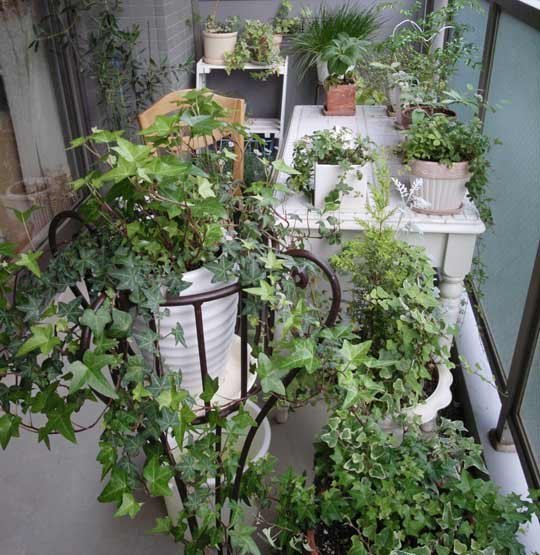 Маленький садик на маленьком балконе