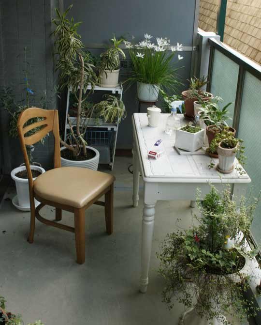 Маленький садик на маленьком балконе